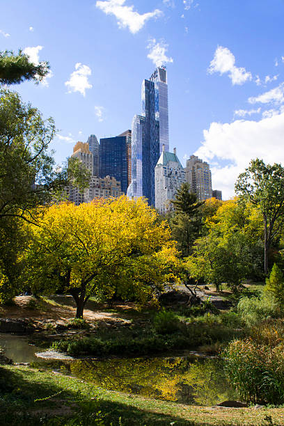 istock Centarl Park, Manhattan, New York 493971442