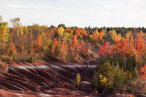 Cheltenham badlands en otoño, Ontario, Canadá photo