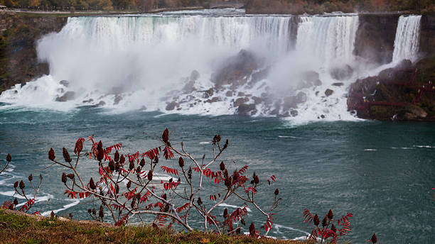 istock Red leave with American side of Niagara Falls in background 493975254