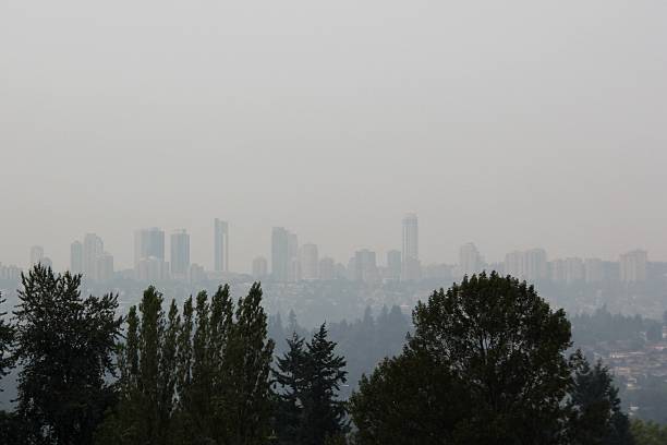istock Smoky Sky after the Forest Fire 493975280