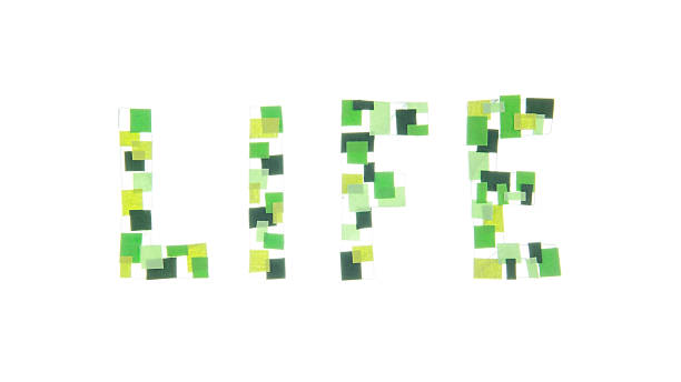 istock green life isolated in white 493977244