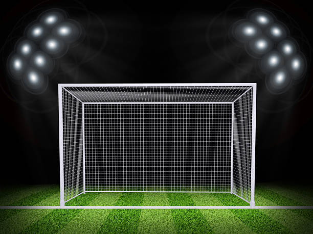 istock Soccer gate in the middle of field 493978945