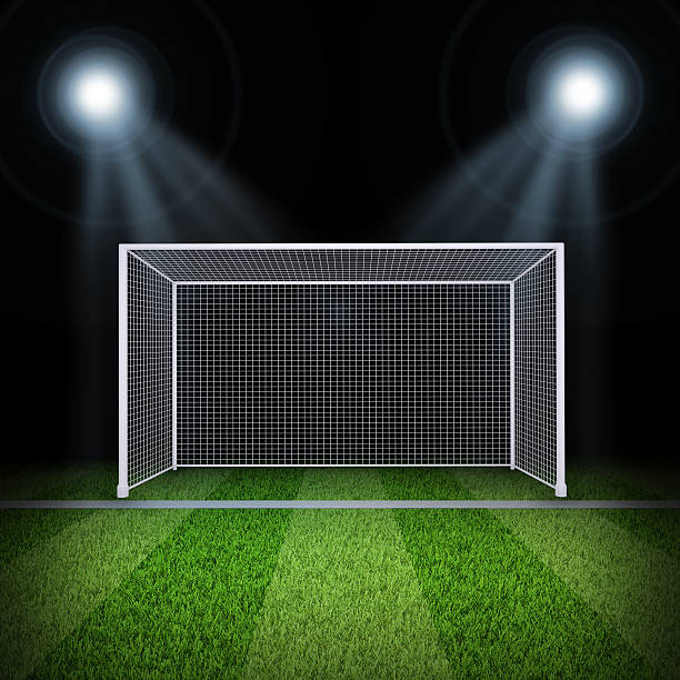 istock Soccer gate in the middle of field 493978971