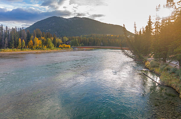 istock Bow River Canadian Rockies In Banff NP 493979458
