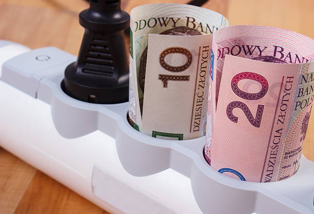 istock Polish currency money in electrical power strip with connected plug 493979698