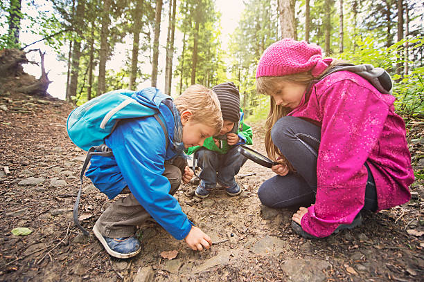 istock Discovering the mysteries of nature 493979875