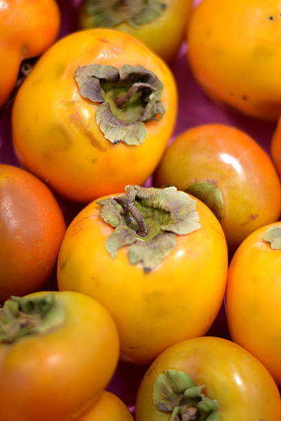 istock Fresh Persimmon ready for Sale in the Market 493980298