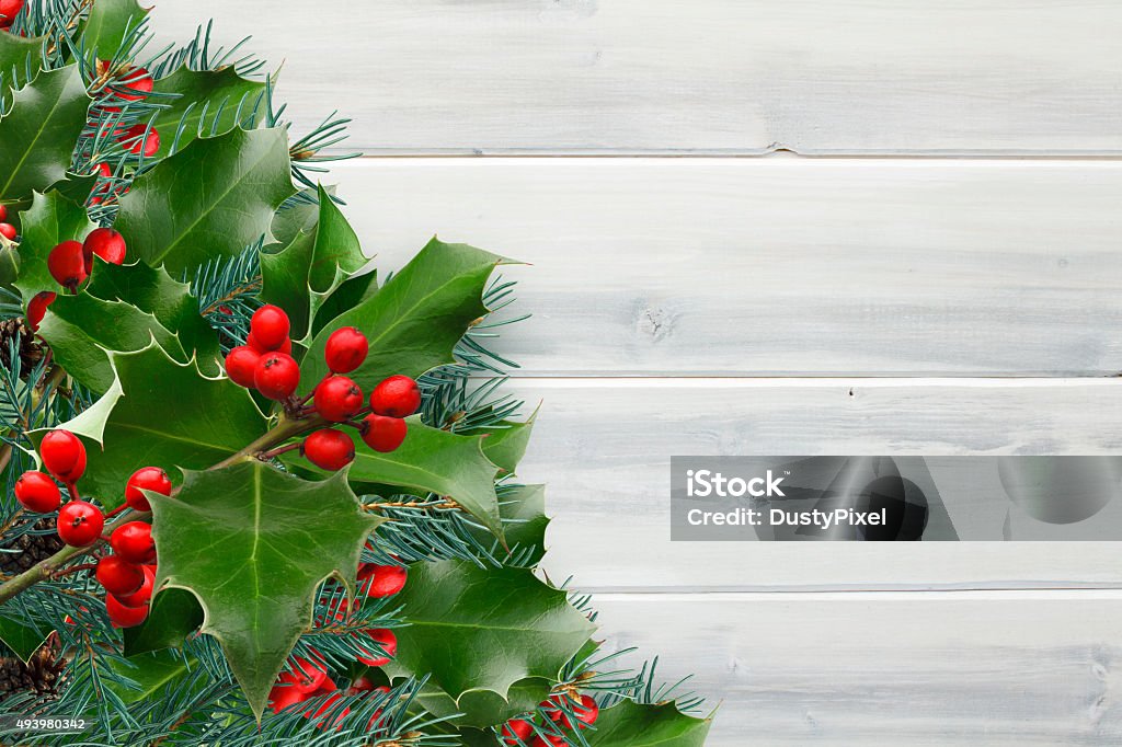 Holly Berries And Leaves With Christmas Sprigs And Pinecones Stock Photo -  Download Image Now - iStock