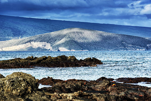 costa de galápagos - fernandina beach - fotografias e filmes do acervo