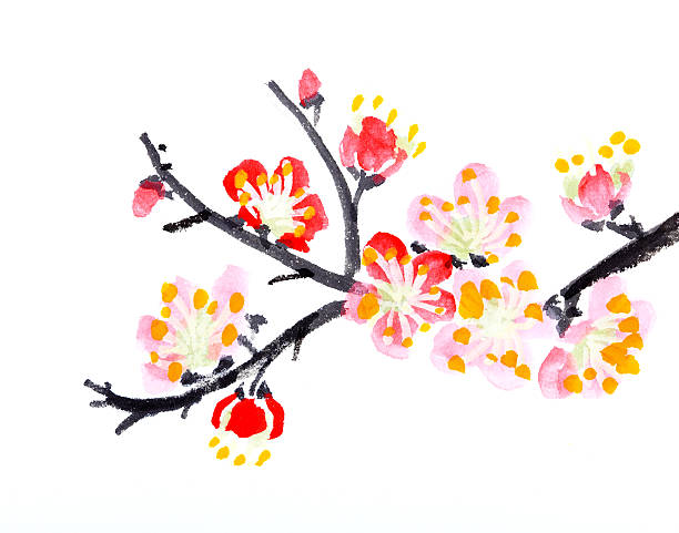 istock Chinese painting of flowers, plum blossom 493980959