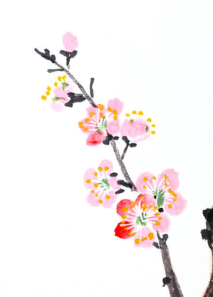 istock Chinese painting of flowers, plum blossom 493980961