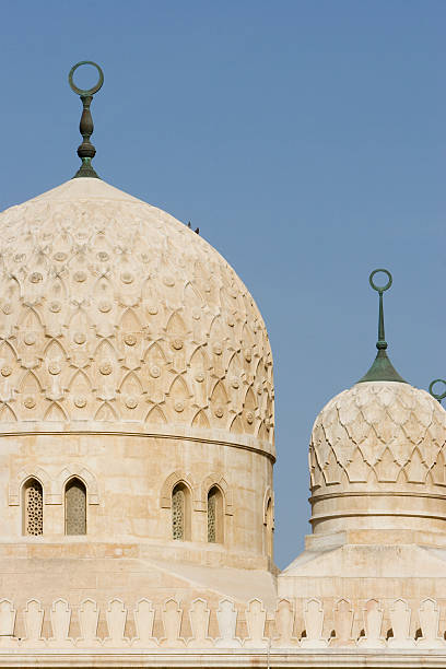 istock Scenes of Dubai 493981567