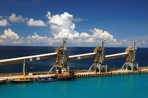 istock Tug and pilot boats in the dock 493982223