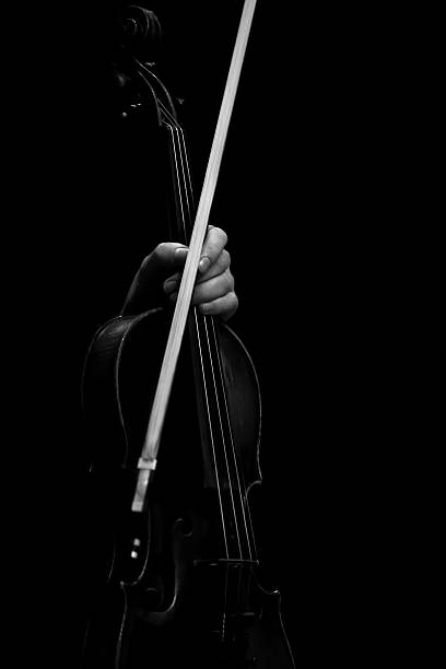istock The hand holding the violin 493982704