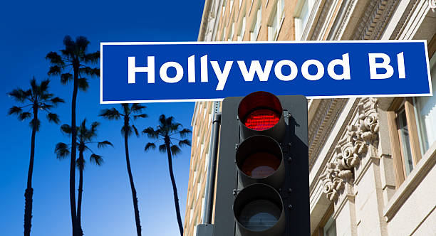 Hollywood Boulevard sign illustration on palm trees