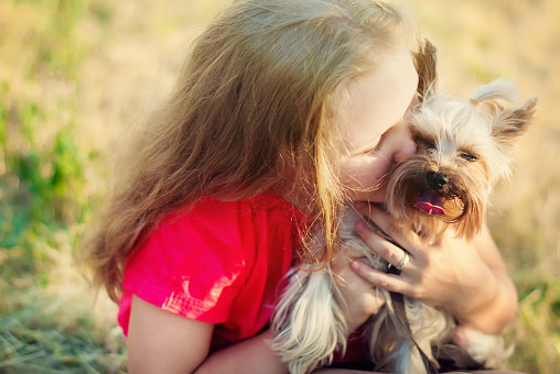 Adorable smiling little girl child holding and playing with puppy yorkshire terrier