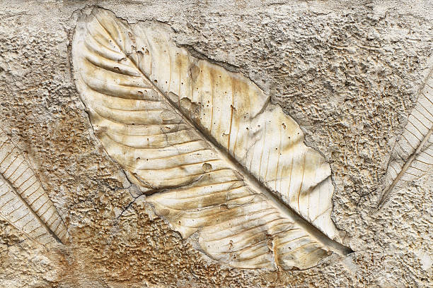 istock marks of leaf on the concrete pavement. 493984625