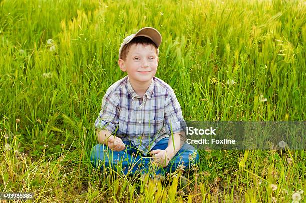 Boy On Summer Nature With Dandelions Stock Photo - Download Image Now - Blond Hair, Blowing, Carefree