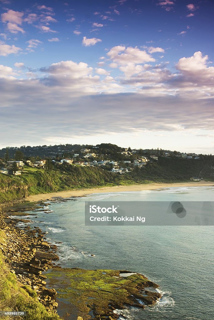 Praias do norte de Sydney-Bungan Beach - Foto de stock de Amarelo royalty-free