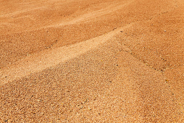 istock heap of wheat grains 493992814