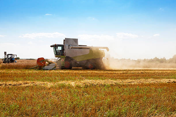 istock Harvester in the field 493993486