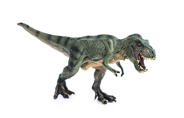 istock tyrannosaurus toy on a white background 493993602