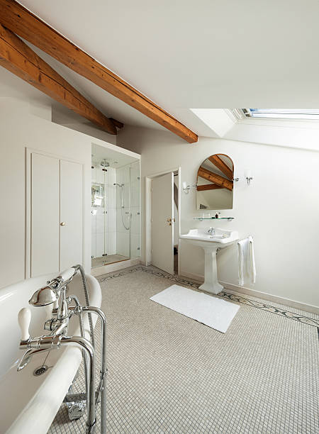 роскошные классическая ванная комната - loft apartment bathroom mosaic tile стоковые фото и изображения