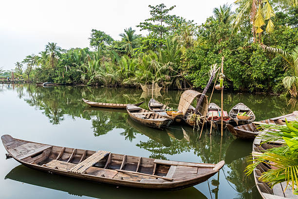 istock Mekong Delta in Vietnam 493995742