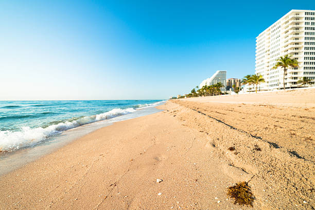 istock Fort Lauderdale Florida Beach 493995801