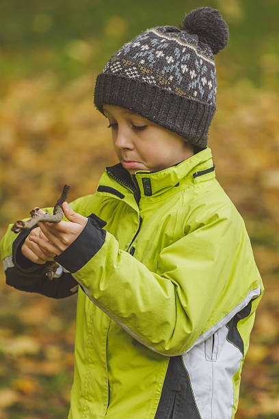 istock Little boy in the nature in fall 493995928