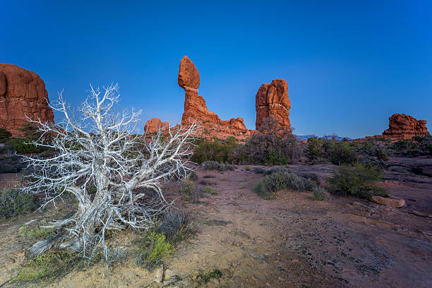 parc national arches national park - usa arches national park balanced rock colorado plateau photos et images de collection