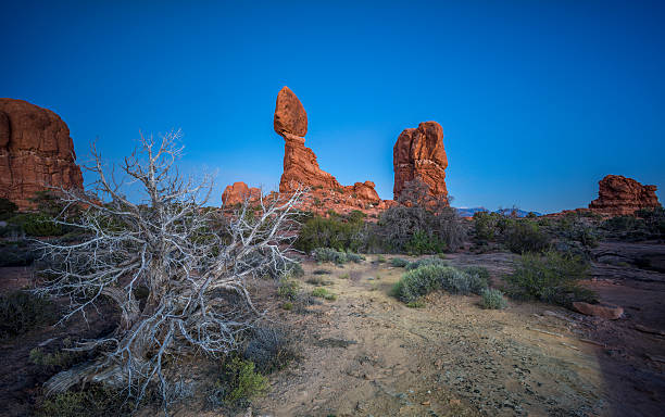 arches national park - usa arches national park balanced rock colorado plateau stock-fotos und bilder