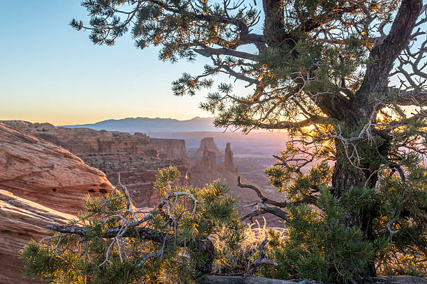 istock Canyonlands National Park 493997554