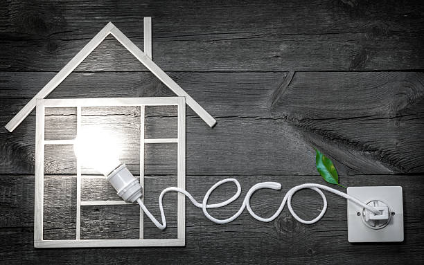 istock Eco wooden home construction abstract sign symbol metaphor 493997604