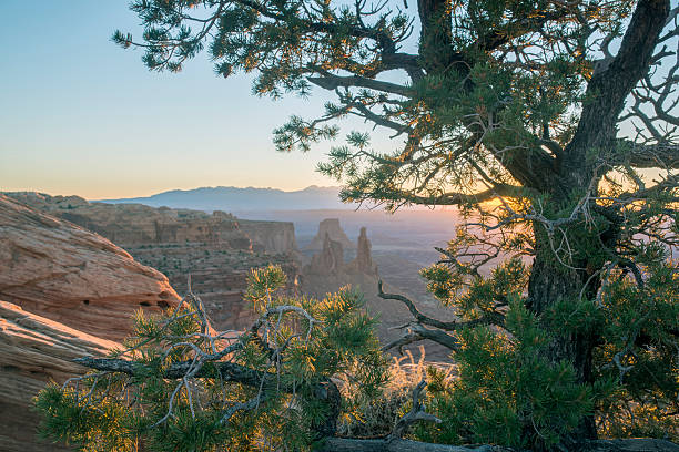 istock Canyonlands National Park 493997650