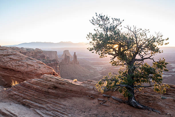 istock Canyonlands National Park 493997660