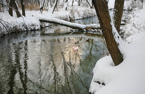 зима река - winter stream river snowing стоковые фото и изображения