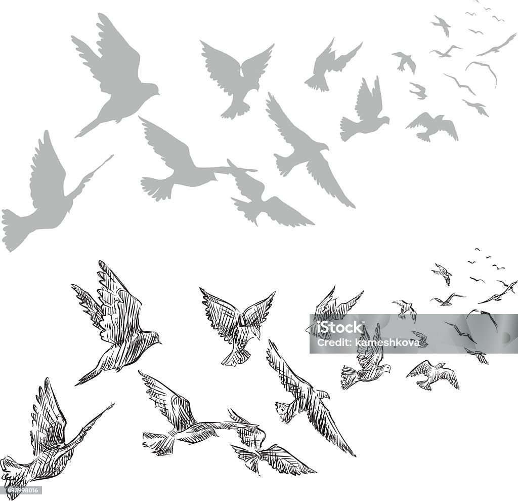 flying pigeons, hand drawn, vector illustration flying pigeons, hand drawn, vector illustration  Bird stock vector