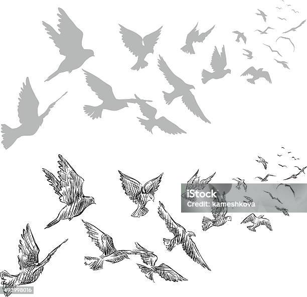 Flying Pigeons Hand Drawn Vector Illustration Stock Illustration - Download Image Now - Bird, Line Art, Pigeon