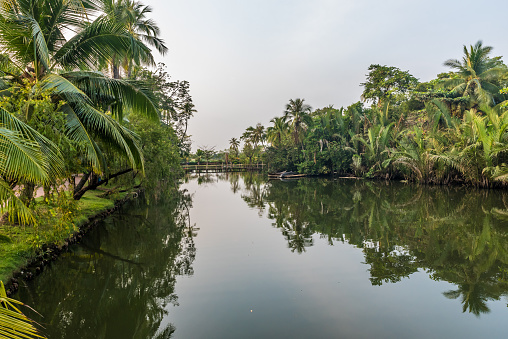 Mekong Delta in Vietnam - River in tropical scene