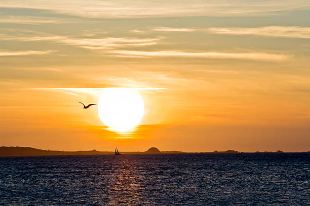istock Sunset over Salvora Island 493998974