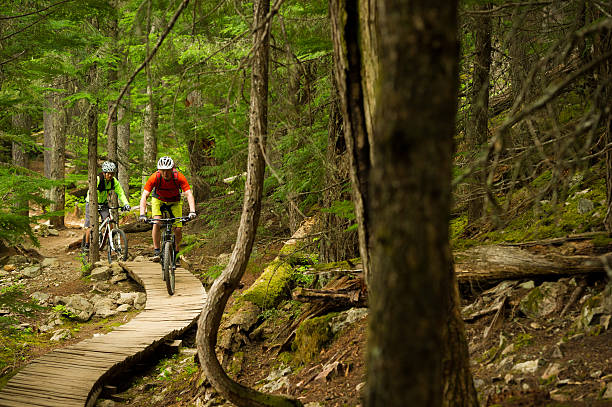 istock Mountain Biking Couple 493999347