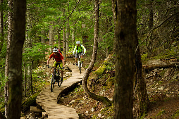 산악 자전거 커플입니다 - mountain bike cycling mountain biking forest 뉴스 사진 이미지