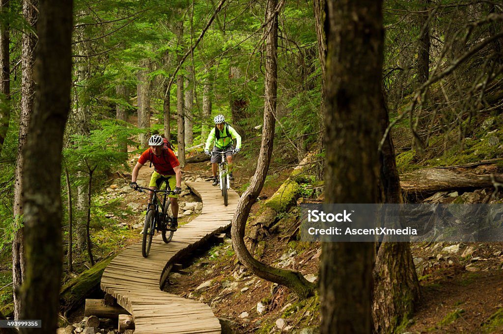 Mountain Biking Couple Couple Mountain Biking on a wood feature Mountain Biking Stock Photo