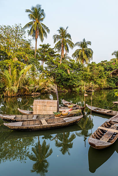 メコンデルタのベトナム - forest canal tropical rainforest river ストックフォトと画像