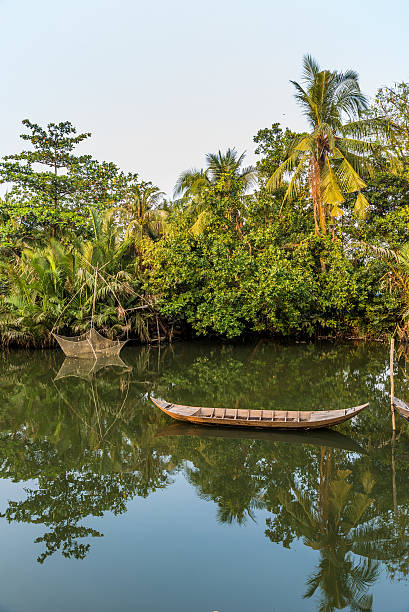 istock Mekong Delta in Vietnam 494000360