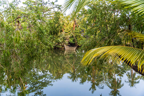 istock Mekong Delta in Vietnam 494000984