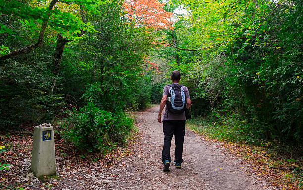 Man on the Way of St. James in Navarre