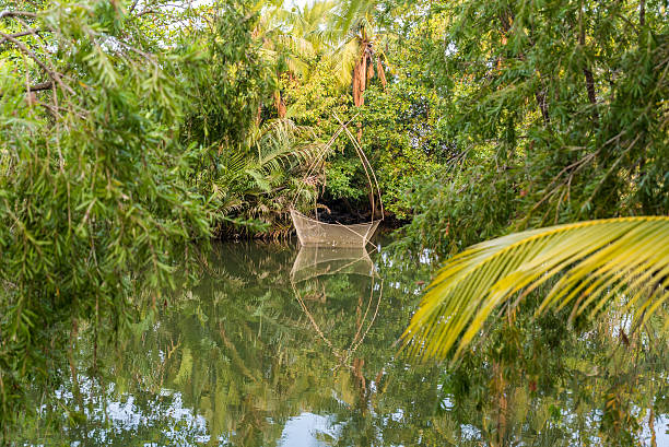 istock Mekong Delta in Vietnam 494001234