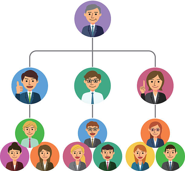 Org chart people Org chart people . hierarchy stock illustrations